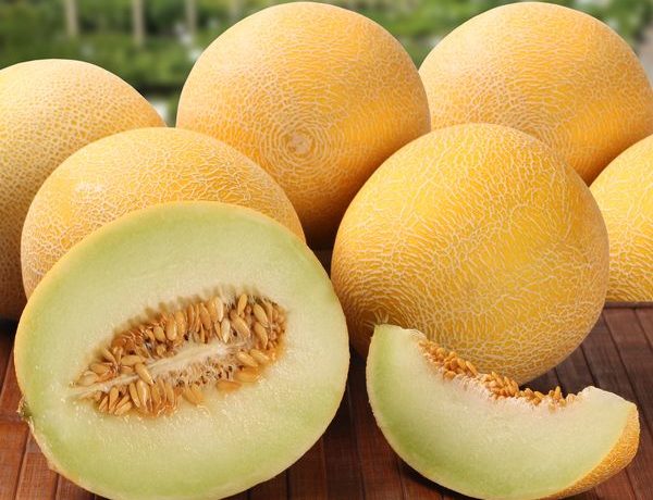 Melón je jedným z najchutnejších druhov ovocia
