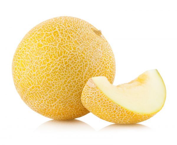 صنف البطيخ الشعبي رنايا 133 صنف البطيخ الشعبي رنايا 133