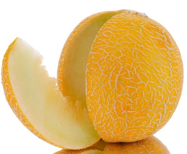 ينتج صنف الماركيز ثمارًا كبيرة إلى حد ما (1.5-2 كجم) ينتج صنف الماركيز ثمارًا كبيرة إلى حد ما (1.5-2 كجم)