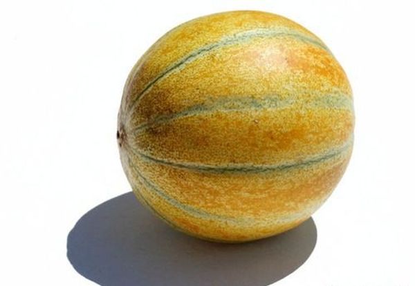 ينضج محترقًا لمدة 83 يومًا ينضج محترقًا لمدة 83 يومًا