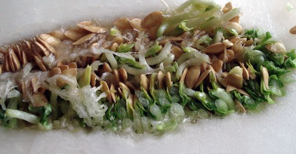 لا ينصح بشراء البطيخ الذي لا يتمتع بمظهر جذاب. لا ينصح بشراء البطيخ الذي لا يتمتع بمظهر جذاب.