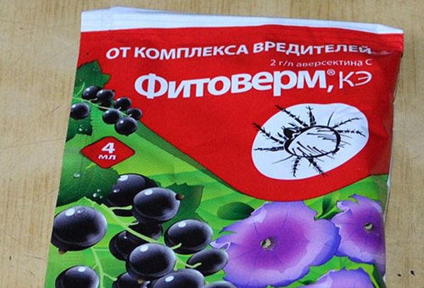 المنتج البيولوجي "فيتوفيرم" سيساعد في مكافحة الآفات والأمراض المنتج البيولوجي "فيتوفيرم" سيساعد في مكافحة الآفات والأمراض
