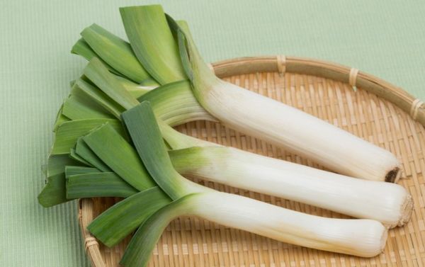 صنف العملاق البلغاري صنف العملاق البلغاري