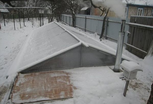 Termosas siltumnīca tiek uzskatīta par diezgan populāru. Termosas siltumnīca tiek uzskatīta par diezgan populāru.