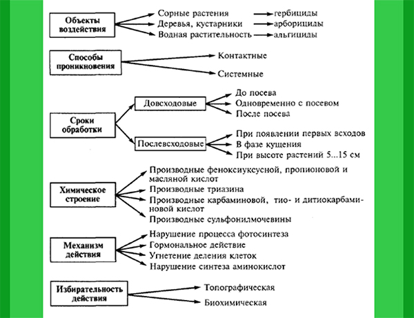 Classification of herbicides (distribution of preparations according to their spectrum of action) Classification of herbicides (distribution of preparations according to their spectrum of action)