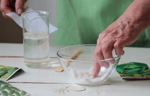 Soak and sprout the seeds Soak and sprout the seeds