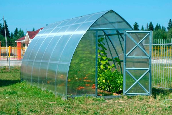 Izvēlieties pareizo siltumnīcas veidu Izvēlieties pareizo siltumnīcas veidu