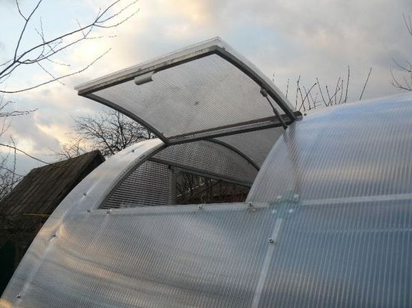 Siltumnīcas logs ir obligāts elements Siltumnīcas logs ir obligāts elements