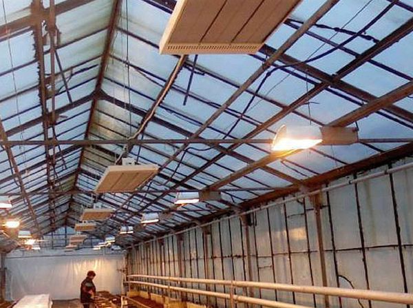 Gas infrarød varmer til drivhus Gas infrarød varmer til drivhus