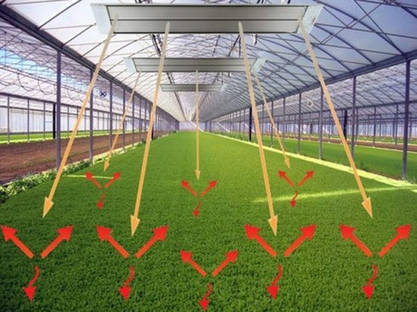 Opvarmning af et drivhus med infrarøde enheder Opvarmning af et drivhus med infrarøde enheder