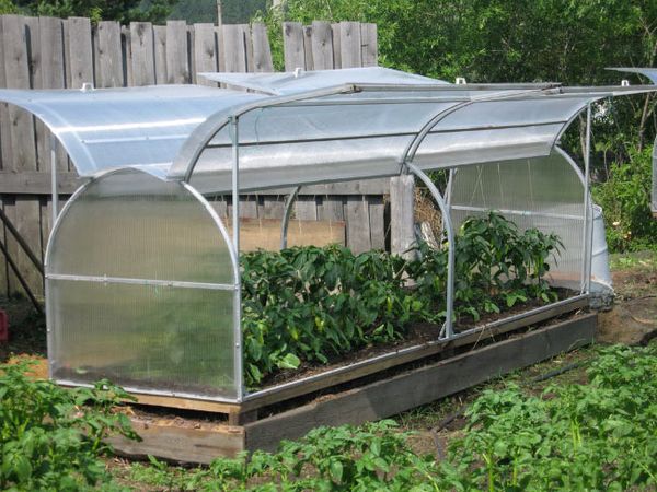 Sommerfuglelignende drivhus Sommerfuglelignende drivhus