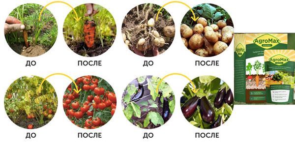 Kā darbojas AgroMax mēslojums? Kā darbojas AgroMax mēslojums?