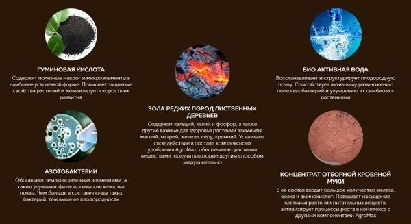 Kas ir iekļauts AgroMax mēslojumā? Kas ir iekļauts AgroMax mēslojumā?