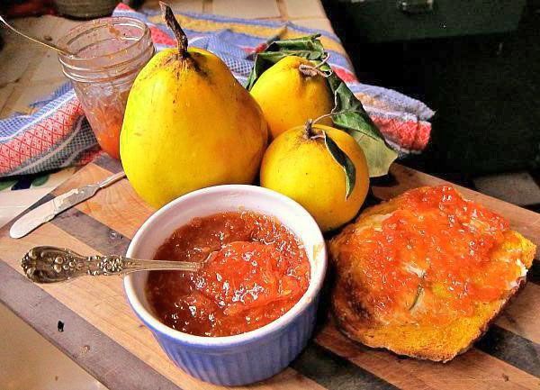 Cidonijas tiek kultivētas vairāk nekā 4000 gadus. Cidonijas tiek kultivētas vairāk nekā 4000 gadus.