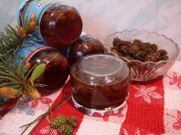 Klasisks priežu čiekuru ievārījums Klasisks priežu čiekuru ievārījums