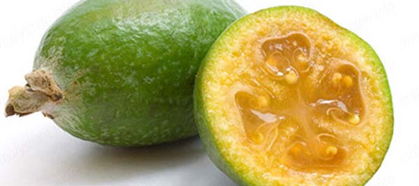 Eksotiskas feijoas nogatavojusies mīkstums Eksotiskas feijoas nogatavojusies mīkstums