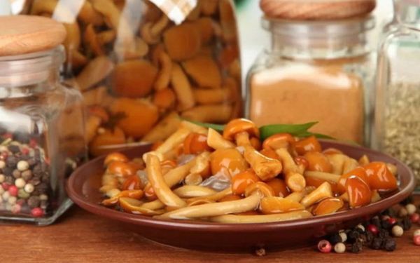 Konservētas medus sēnes ziemai Konservētas medus sēnes ziemai