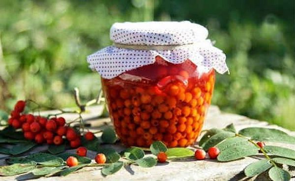 Sarkanās pīlādža ogas ir bagātas ar vitamīniem Sarkanās pīlādža ogas ir bagātas ar vitamīniem