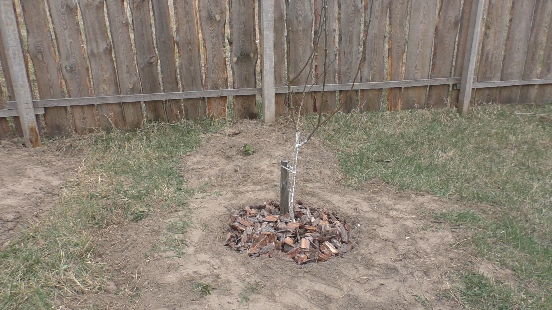 Mulčēšana kā veids, kā sagatavoties ziemai