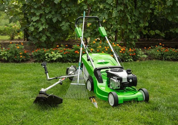 يجب أن يكون العشب جاهزًا لفصل الشتاء يجب أن يكون العشب جاهزًا لفصل الشتاء