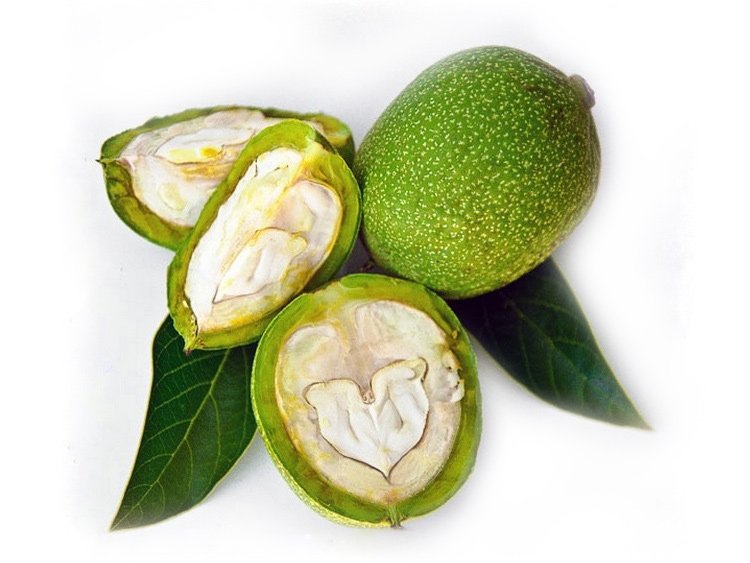 Piena rieksti saldumu pagatavošanai Piena rieksti saldumu pagatavošanai