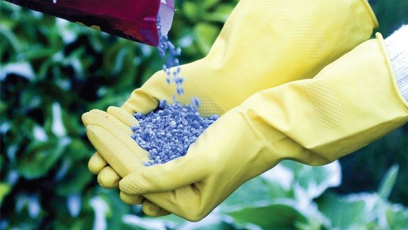 تسميد النباتات بأسمدة البوتاسيوم والفوسفور تسميد النباتات بأسمدة البوتاسيوم والفوسفور